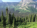 pic_33369.jpg