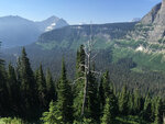 pic_33370.jpg