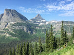 pic_33371.jpg