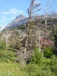 pic_33378.jpg