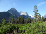 pic_33389.jpg