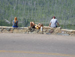 pic_33445.jpg