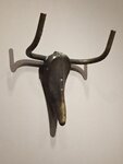 pic_33645.jpg