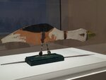 pic_33654.jpg