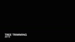 mov_treeTrimming2015.mp4