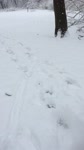 mov_neo_snow_mo.mov