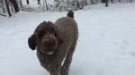 mov_neo_snow_mo2.mov