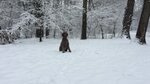img_0553.png