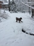 pic_32160.jpg