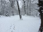 pic_32161.jpg