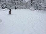 pic_32162.jpg