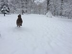 pic_32163.jpg