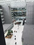 pic_38086.png