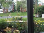 pic_38095.png