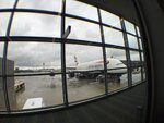 pic_38908.png
