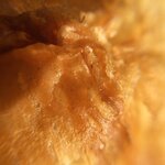 pic_43777.png