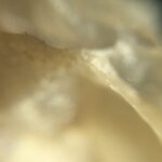 pic_43778.png