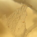 pic_43780.png