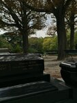 pic_43857.png
