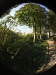 pic_43962.png