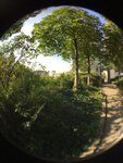 pic_43965.png