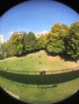pic_44005.png