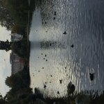 pic_44483.png