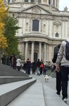 pic_44784.png