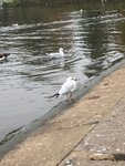 pic_44830.png