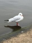 pic_44900.png