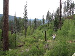 pic_40665.jpg