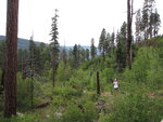 pic_40666.jpg