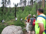 pic_40668.jpg
