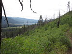 pic_40669.jpg