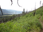 pic_40670.jpg
