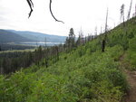 pic_40671.jpg