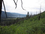 pic_40672.jpg