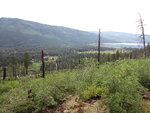pic_40678.jpg