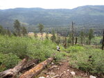pic_40679.jpg