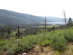 pic_40684.jpg