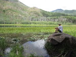 pic_40708.jpg
