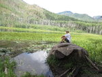pic_40709.jpg