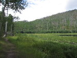 pic_40715.jpg