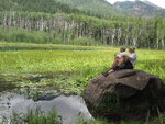 pic_40722.jpg