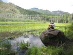 pic_40727.jpg