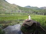 pic_40731.jpg