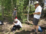 pic_40770.jpg