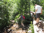 pic_40776.jpg