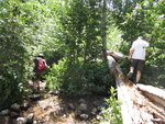 pic_40778.jpg