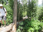 pic_40786.jpg